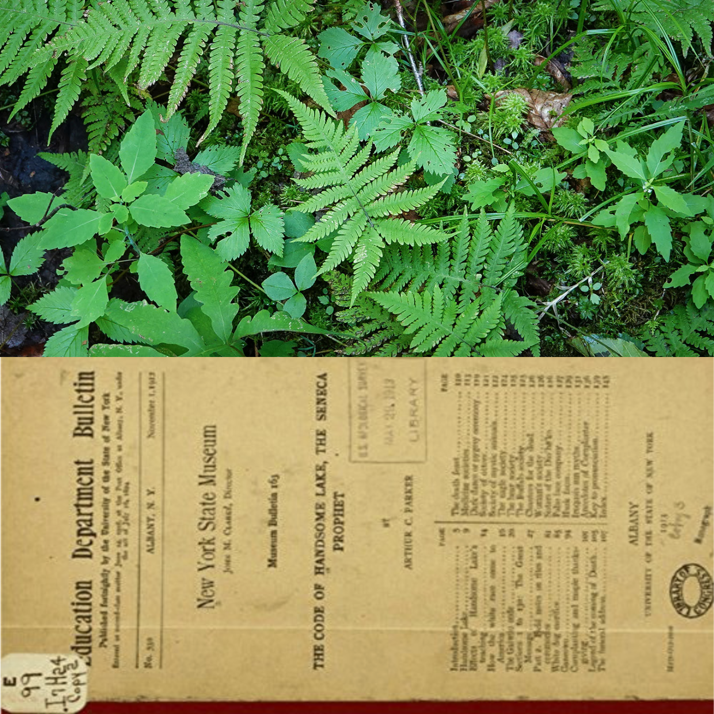 Gai’wiio, original manuscript