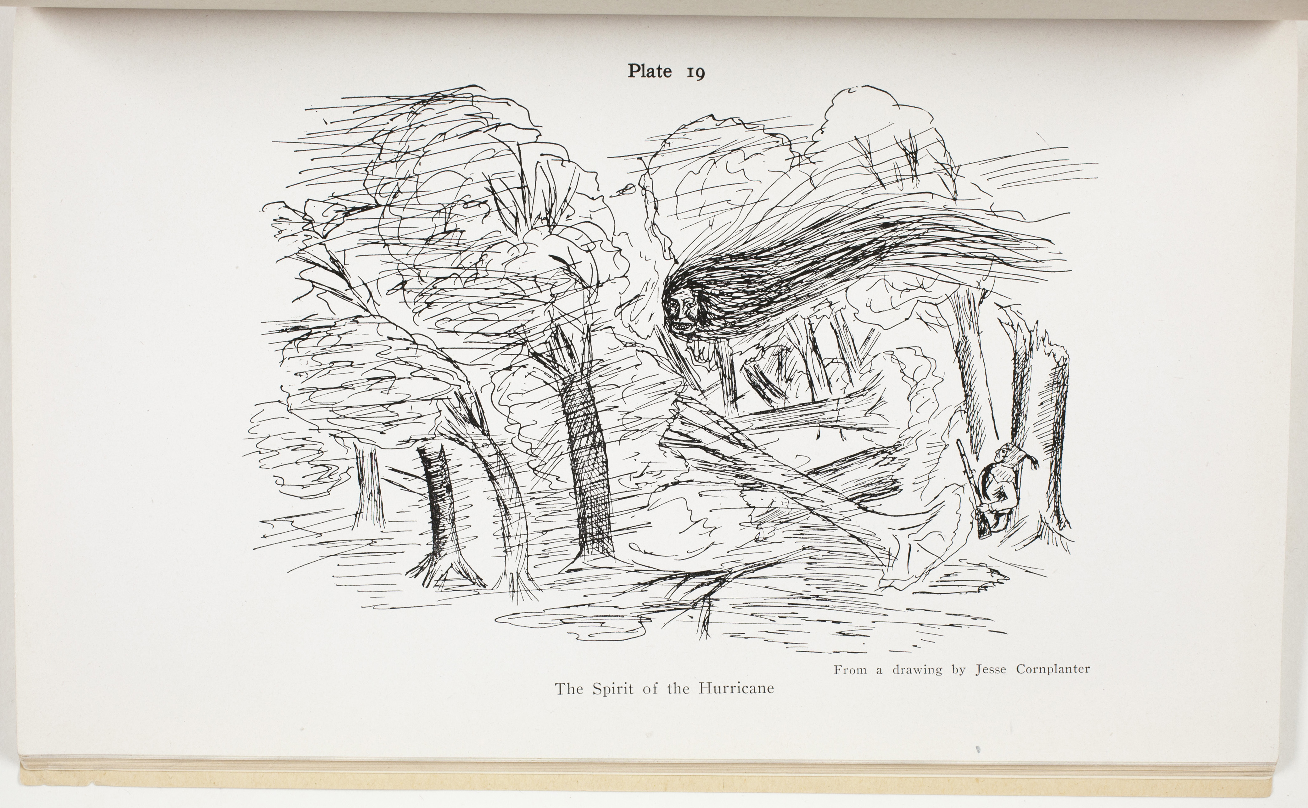 Plate 19: The Spirit of the Hurricane